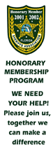 Decal & type.gif (6088 bytes)